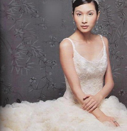 <em>女明星婚纱照片欣赏</em>