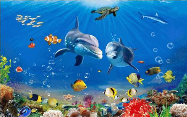 清明节假日玩?为了了解以下的大型海洋生物展!鸿祥娱乐门票免费送