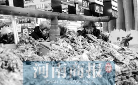 郑州市场青菜比鸡蛋“高贵” 青黄不接是主因