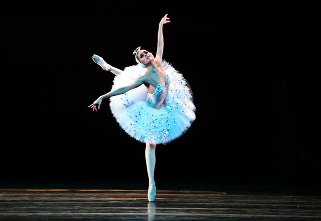 12月22日郑州演出 经典芭蕾舞剧《天鹅湖》_大豫网_腾讯网