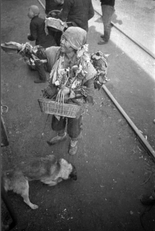 河南大饥荒 百张照片回味真实《1942》_大豫网_腾讯网