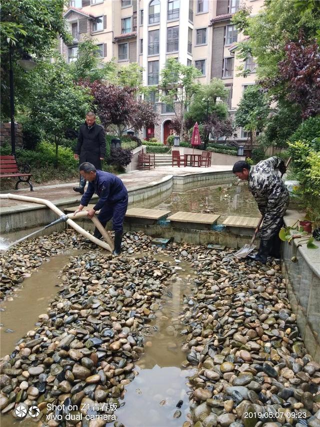 鑫磊森林湖物业好不好,环境真的好吗?