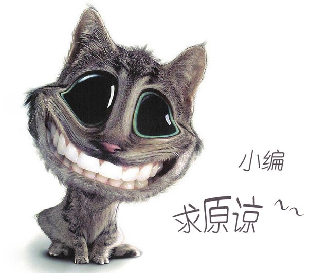 大豫网小编求原谅了 许愿墙视频征集令通知