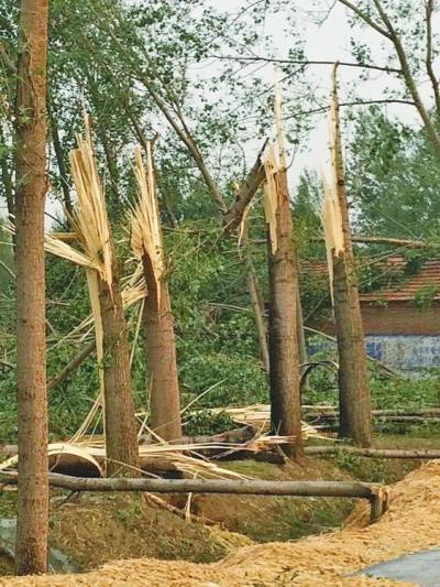 昨日大風(fēng)冰雹襲河南 寶豐兩女童被砸身亡(圖)