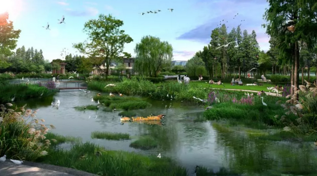 商务中心区 白河臂弯中的6.53平方公里