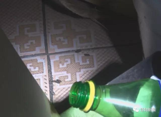 登封一酒吧无证经营 后厨卫生差还有老鼠屎