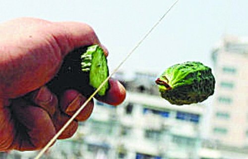 风筝线绷紧能削黄瓜能切肉 女子被其割手血直冒