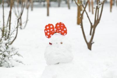河南多地小学、幼儿园因大雪放假 作业：玩雪！