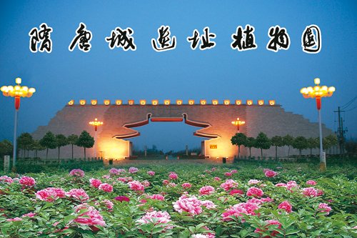 洛阳市隋唐城遗址植物园