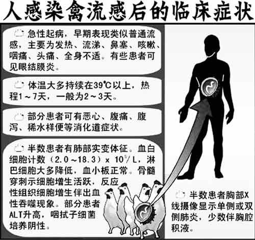 外来人口隔离禽流感_保定禽流感疫情 11人被隔离未发现人员感染