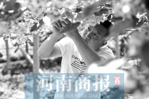 男子下岗后回乡创业 带着四乡八村致富