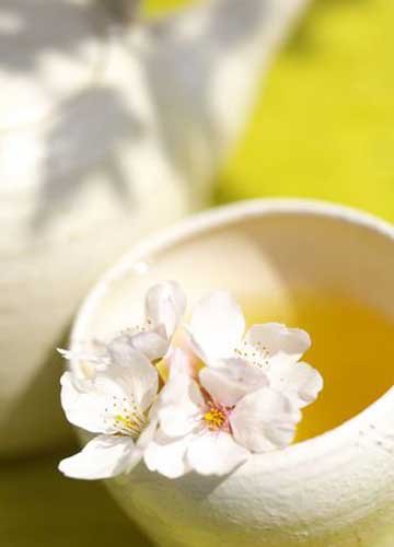 菊花枸杞蜜茶 帮你闪“亮眼”