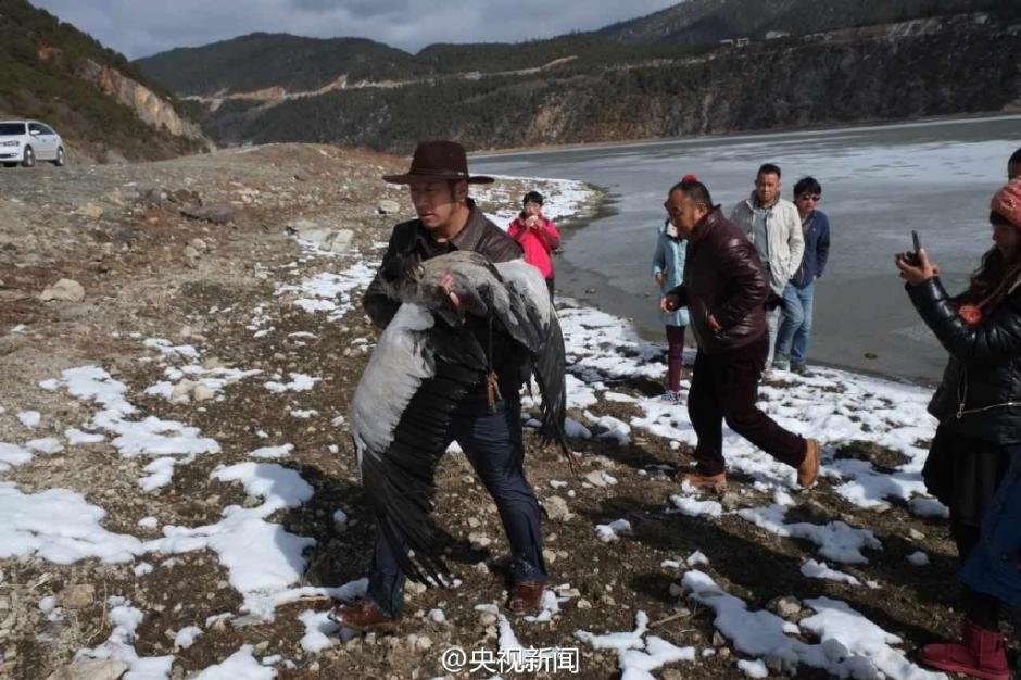 香格里拉天气人口_云南迪庆香格里拉泥石流 2人失踪 图片频道 中国天气网(3)