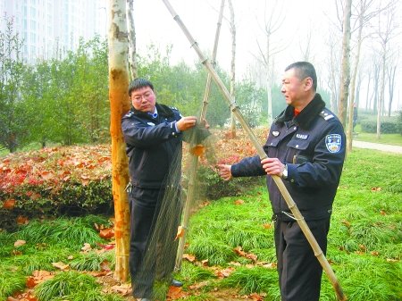 有人在林中张网捕鸟 市民发现民警前来拆除