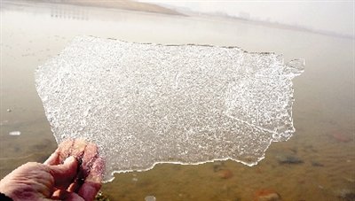郑东龙湖今年首次结冰 看鸟观湖请远离湖边