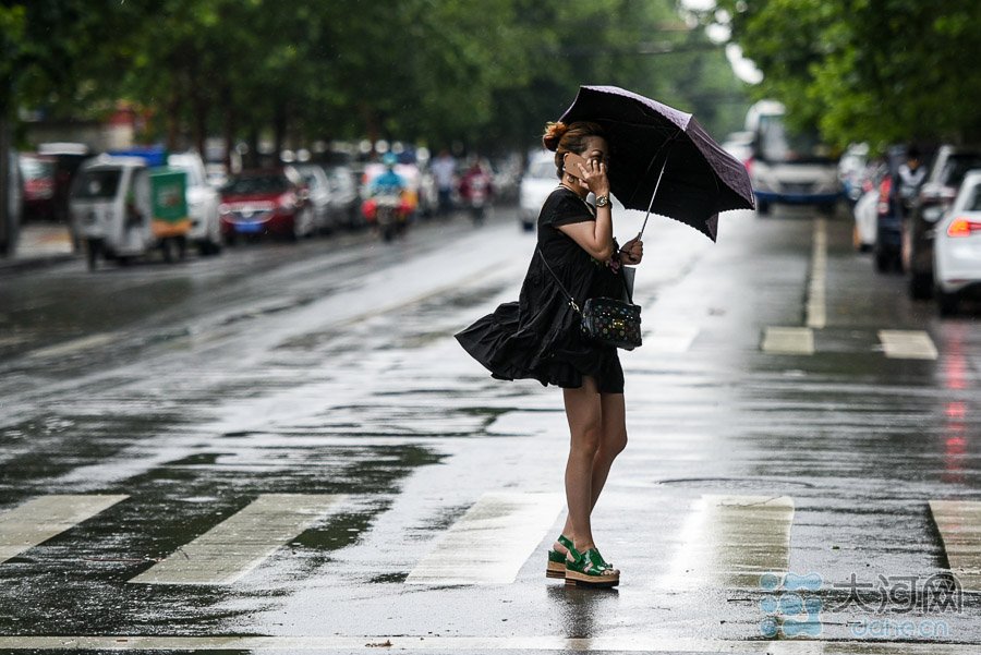 郑州迎来暴雨天大风撩妹网友风不正经