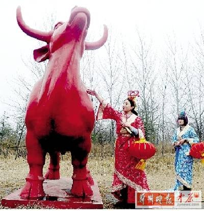 河南强冷空气袭来大风5级 郑州今天飘雪（图）