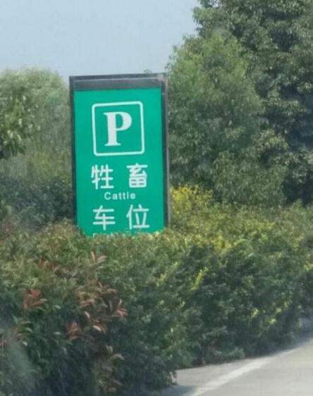 豫高速服务区设女士专用车位 还有牲畜车位