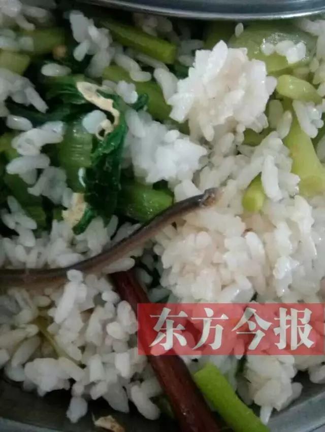 信阳光山一高饭菜中出吃出蚯蚓 校方这样回应