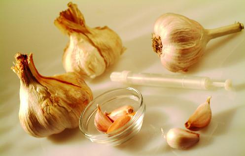 苹果燕麦片 睡前狂吃也不会长胖的19种食物