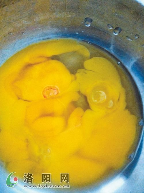 蛋黄打开现血圈 专家称为发育胚胎可以食用