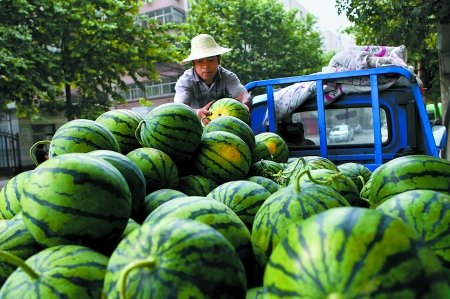 探访瓜农眼中的西瓜新政西瓜究竟该咋卖