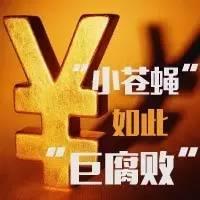 河南“芝麻官”贪污30万 被父亲弟媳等联名举报