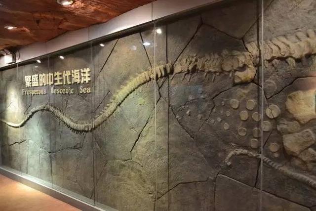 郑州区域内最全的免费地点 元旦假期带着娃走起