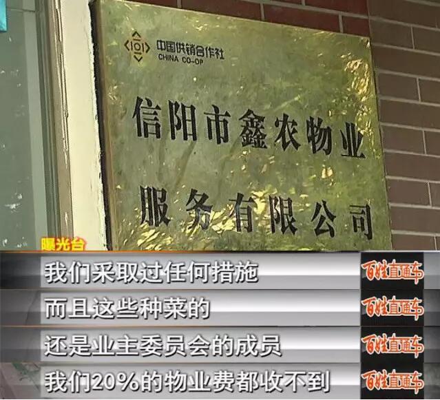 信阳一小区绿垃圾遍地环境差 物业却向记者倒苦水