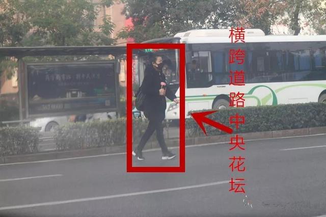 哪些电动车可以走机动车道 149362759.jpg