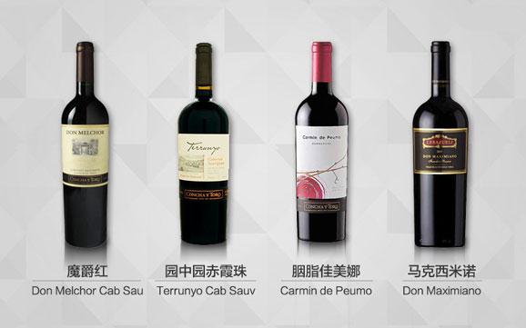 新世界智利 11大顶级葡萄酒