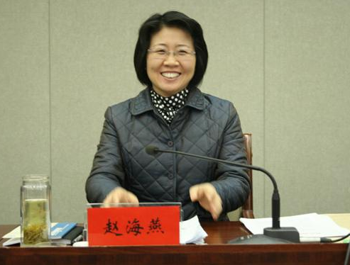 三门峡市委书记赵海燕接受组织调查