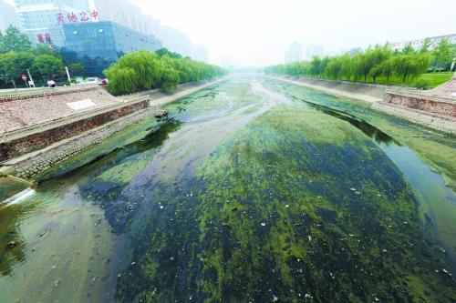 郑州东风渠前世今生:建设之初曾有引黄灌溉使命