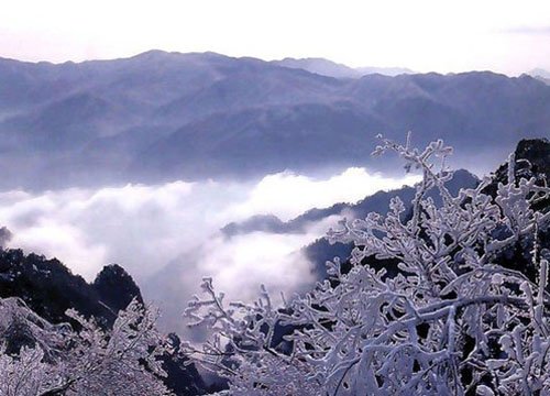 黄山多人人口_黄山奇石图片(2)