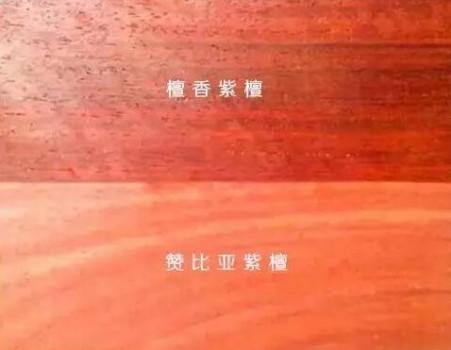 中山大汇堂(唐百年)红木品牌:赞比亚紫檀(血檀)的收藏