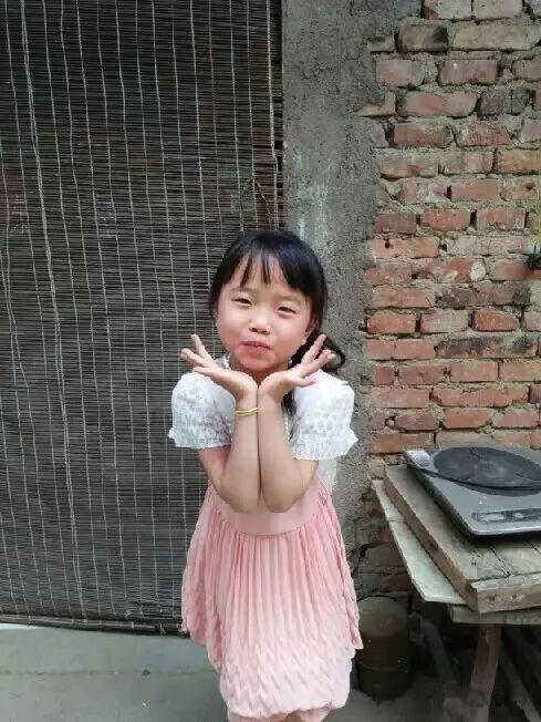 河南一8岁智力障碍女孩失联多日，方圆10公里搜寻均未找到