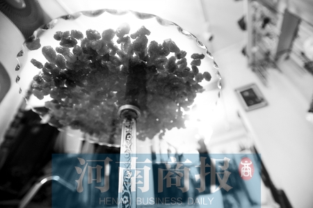 商贩卖枸杞红枣干 市民买后发现是圣女果干