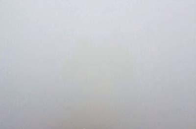 【花椒面】:地球哭了!女婴被弃垃圾桶