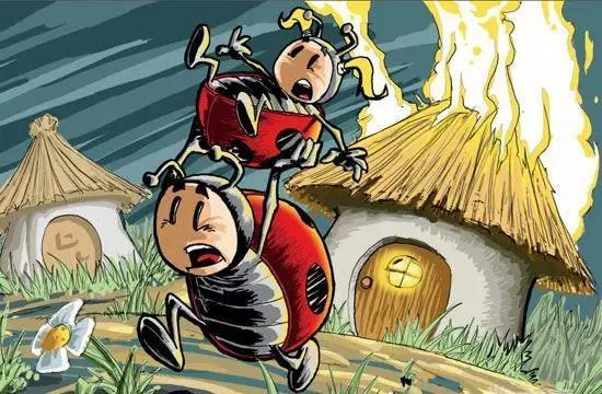 合家欢儿童剧《甲虫山谷》开票!票价低至50元