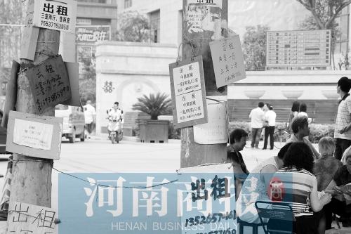 郑州催奶师_郑州体控师的收入