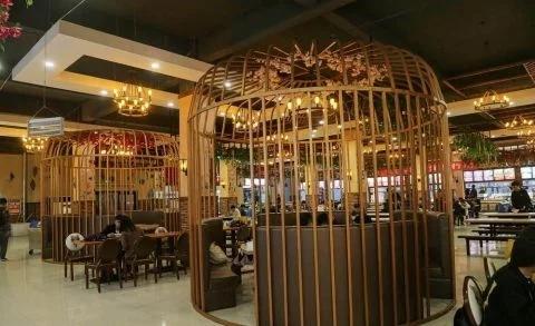 郑州一高校建"鸟笼"食堂 学生笼中就餐