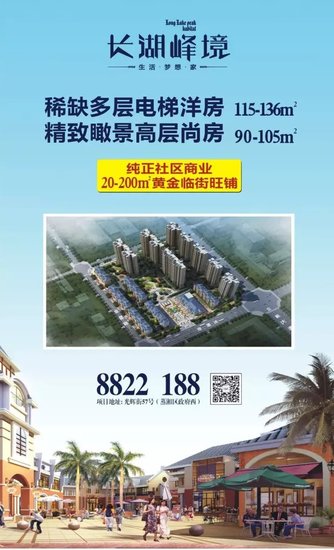 抓住机会 长湖峰境1号栋精致三房火速抢购中