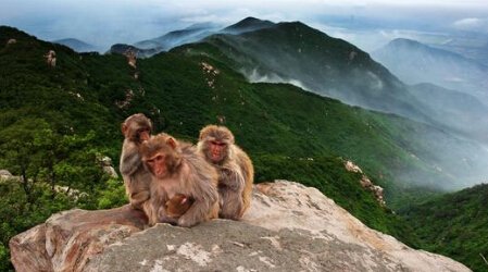 衡山西游洞天·花果山景区十一将开门纳客