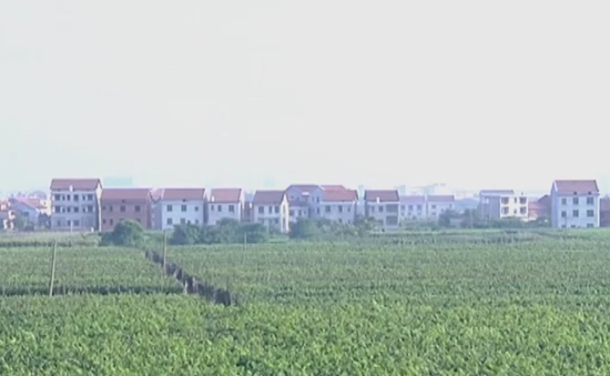 收入最高的职业_城市休闲职业收入