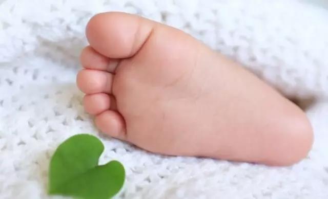 看图猜十二生肖彩票网:冬天一定要注意宝宝的足部保暖
