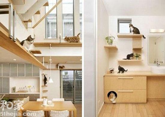 12个宠物家居创意设计 家有猫咪情趣不断