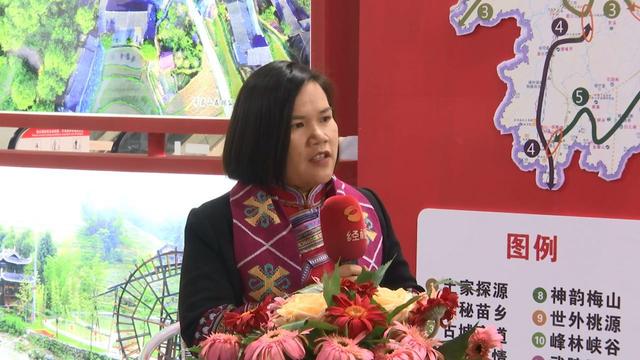 江华县县长龙飞凤接受媒体专访