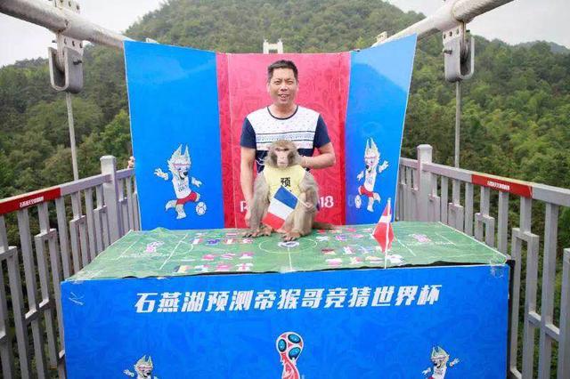 一个被香蕉耽误的预言家,猴哥:一根香蕉不够猜