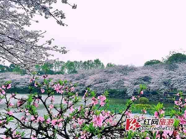 湖南省植物园免费开放一天 邀您一起庆祝生日