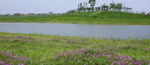 益阳人新添休闲地 来仪湖湿地公园预计年底初